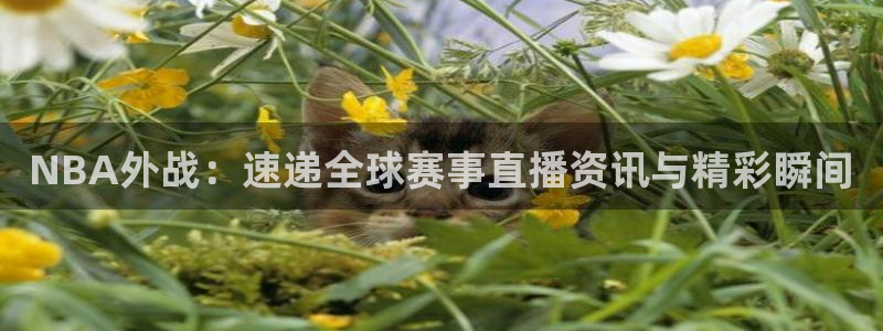 山猫极速体育直播：NBA外战：速递全球赛事直播资讯与精彩瞬间