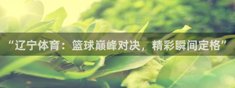 山猫cba直播体育：“辽宁体育：篮球巅峰对决，精彩瞬间定格”