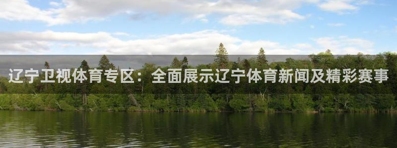 山猫直播足球在线直播：辽宁卫视体育专区：全面展示辽宁体育新闻及精彩赛事