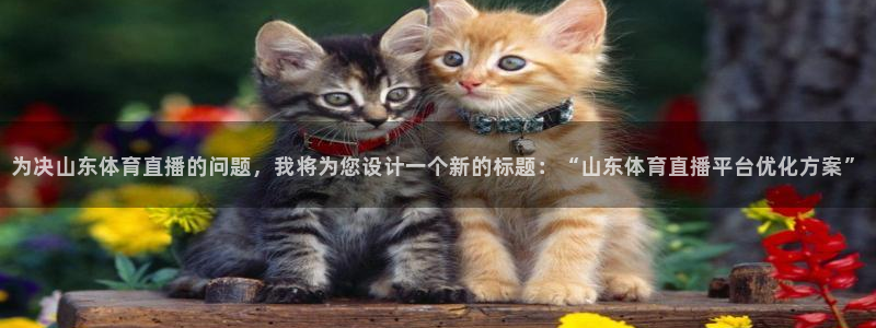山猫体育360直播平台：为决山东体育直播的问题，我将为您设计一个新的标题：“山东体育直播平台优化方案”