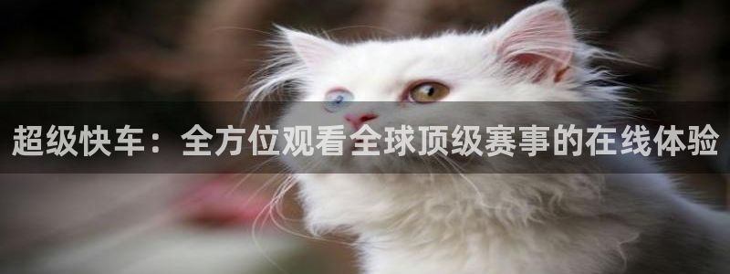 山猫足球体育直播：超级快车：全方位观看全球顶级赛事的在线体验